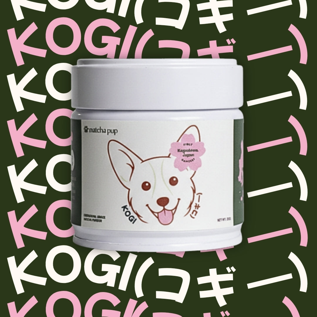 KOGI (コギ —)