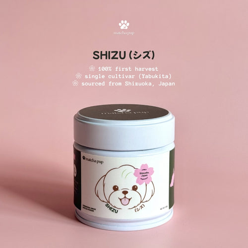 SHIZU (シズ)