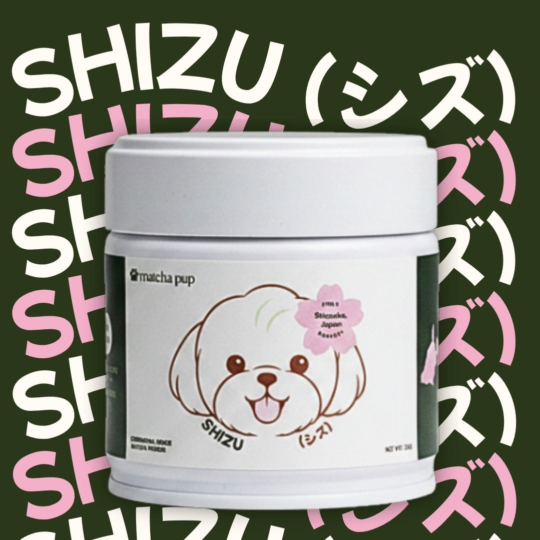 SHIZU (シズ)