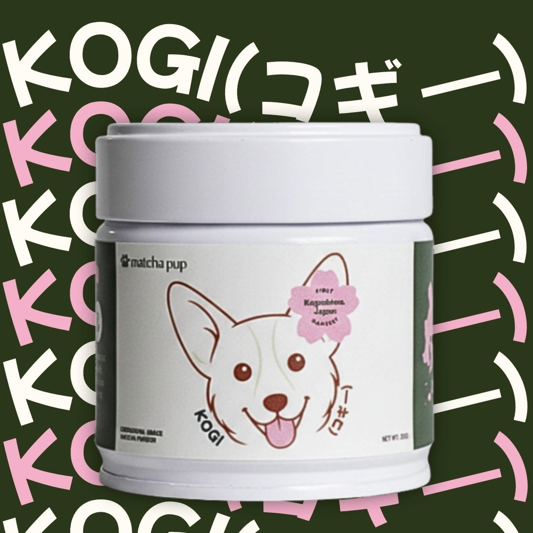 KOGI (コギ —)