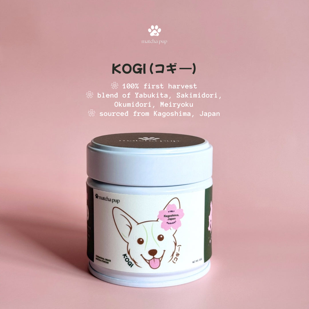 KOGI (コギ —)