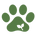 matcha pup - Home